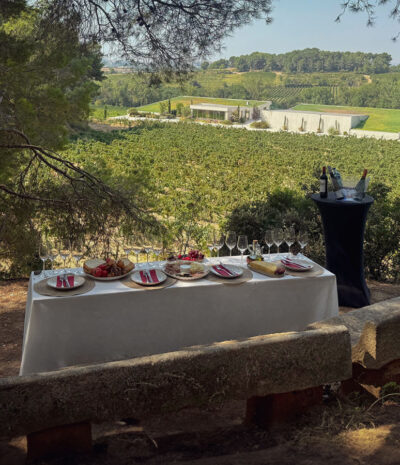 Manzanilla 503 - Vale Regalo