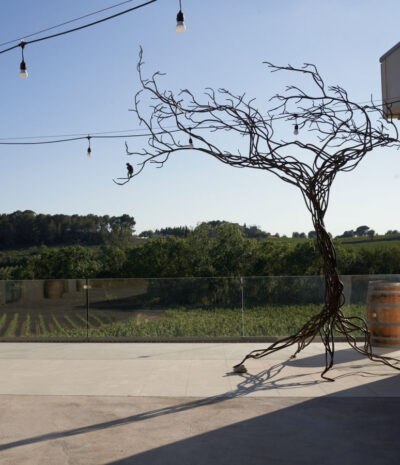 Escorça de roure 505